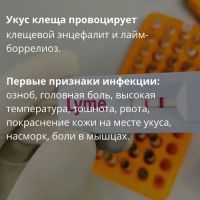 6klesh