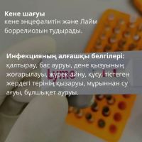 2klesh